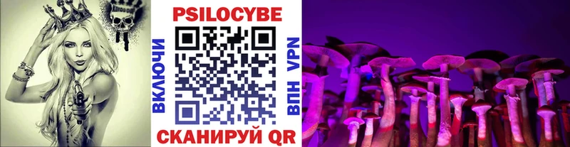 сколько стоит  Суджа  Псилоцибиновые грибы Magic Shrooms 