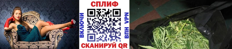 хочу наркоту Суджа Бошки Шишки ГИДРОПОН